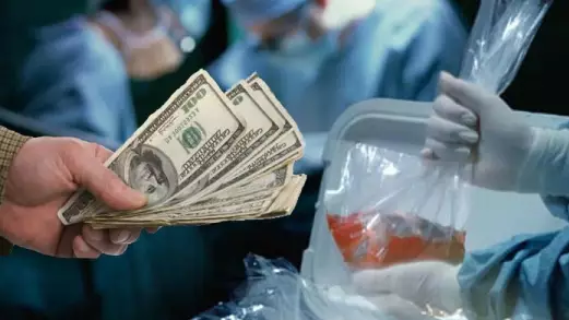 “56 рет адам ағзасын саудалаған” - Заңсыз ота жасау дерегіне қатысты қылмыстық топ әшкере болды (ВИДЕО)