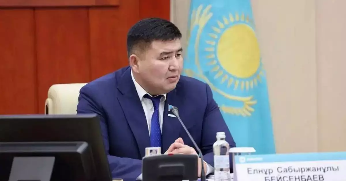  Елнұр Бейсенбаев: Кәсіпкерлікті қолдау қаулысы 4 жылда 20 рет өзгерген 