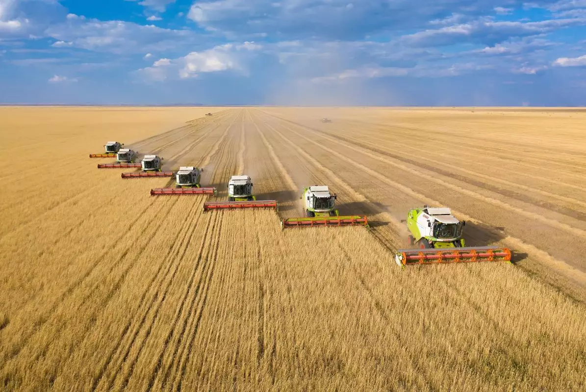 Диверсификация сельского хозяйства позволила повысить урожайность — Минсельхоз