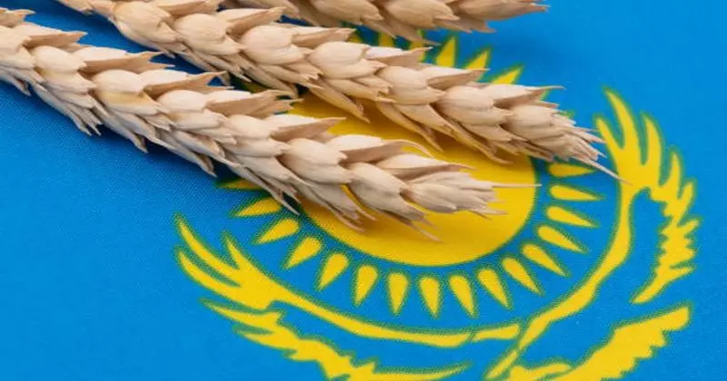 Ударный сезон Казахстана: рекорды и риски.