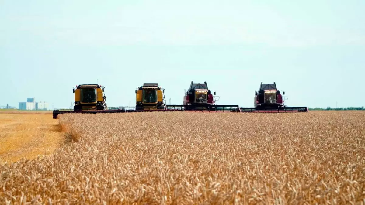 Казахстан укрепляет продовольственную безопасность и наращивает экспорт