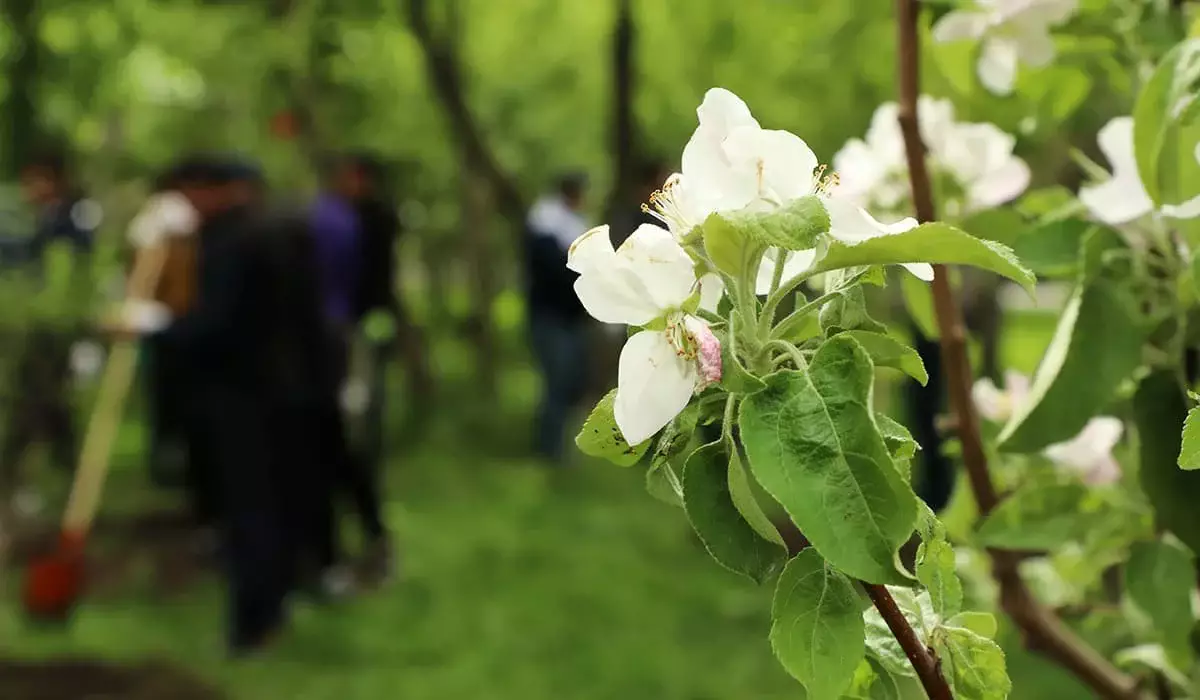 Названы топ-10 экологических достижений Казахстана в 2025 году