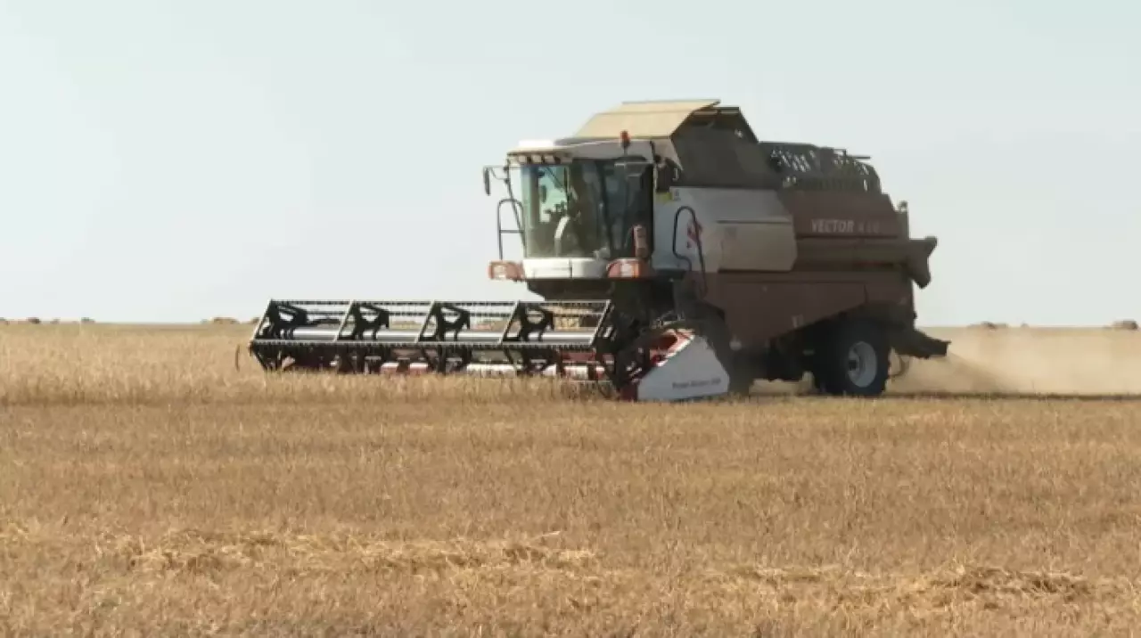 Объем валовой сельхозпродукции превысил 9 трлн тенге