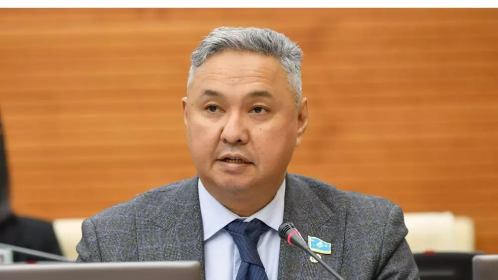 “Помогали не кому положено, а кому захотели“ — депутат о поддержке бизнеса в Казахстане