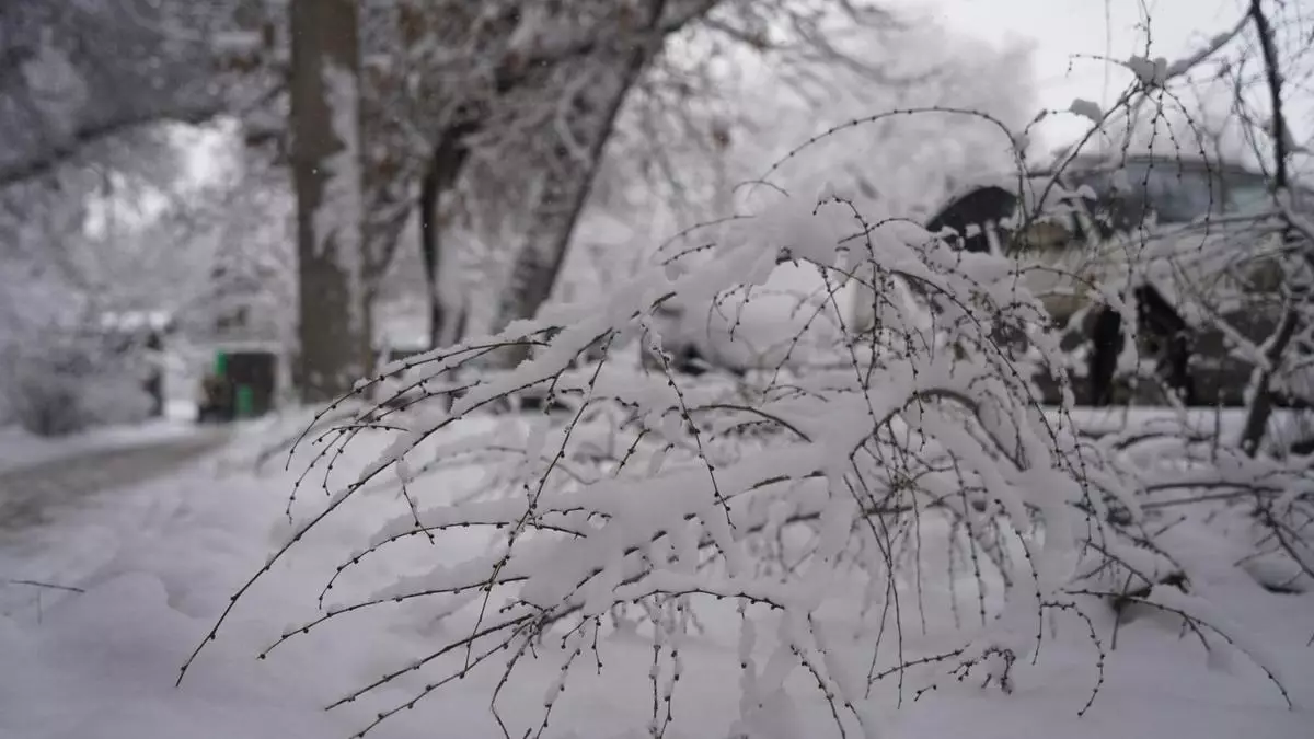Штормовые предупреждения на четверг объявлены в 15 областях Казахстана