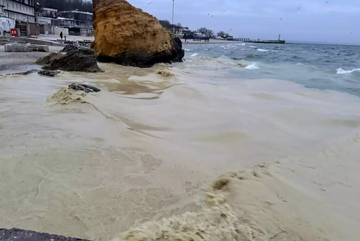 Тонны растительного масла попали в Чёрное море после удара по порту под Одессой: гибнут птицы