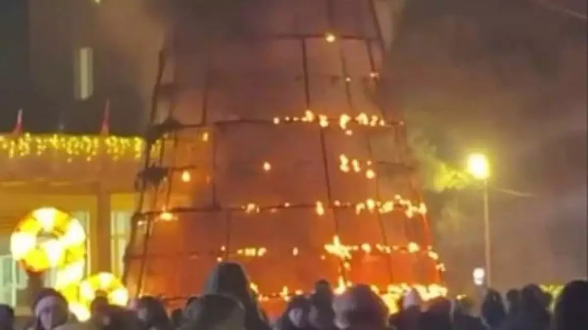 Праздничная елка сгорела во время церемонии зажжения в Грузии (ВИДЕО)