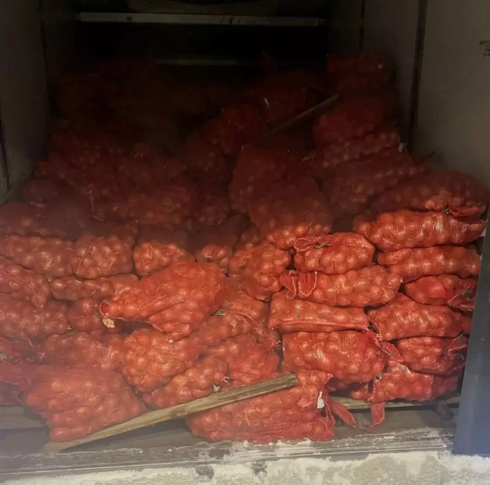 Лук и томаты из Казахстана появятся на полках кузбасских магазинов.