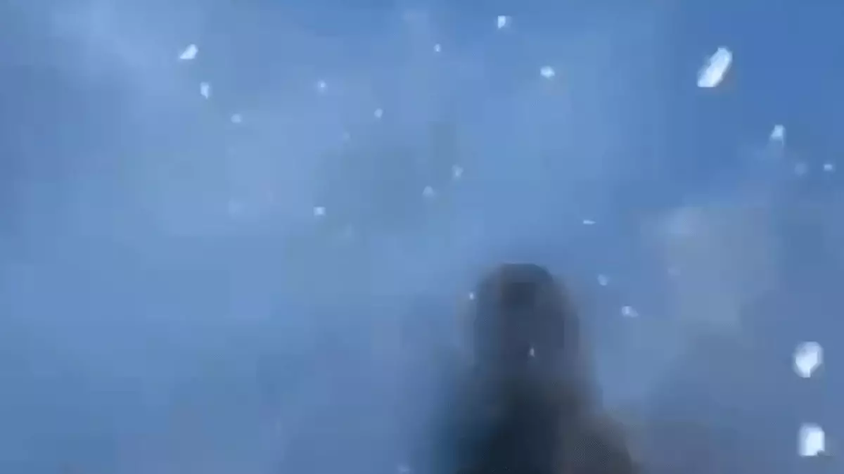 Замерзшую пару лебедей спасли из озера в Казахстане