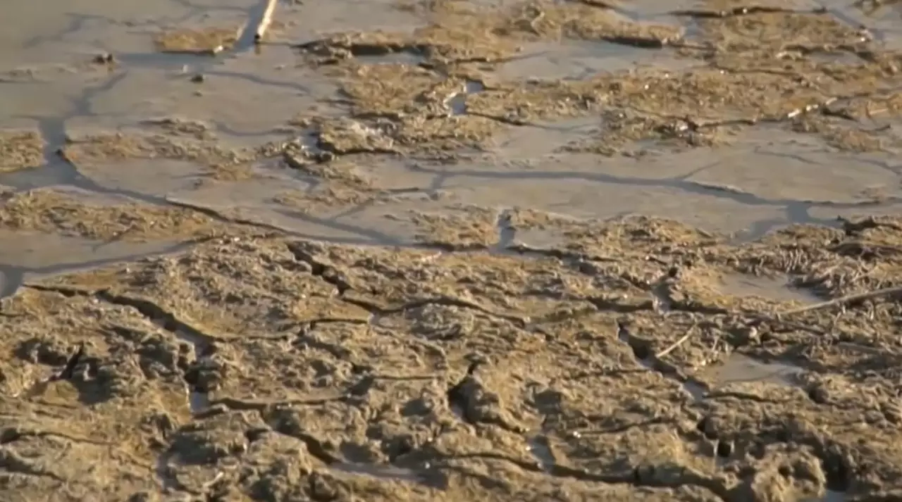 Еділ өзеніндегі су азайып барады