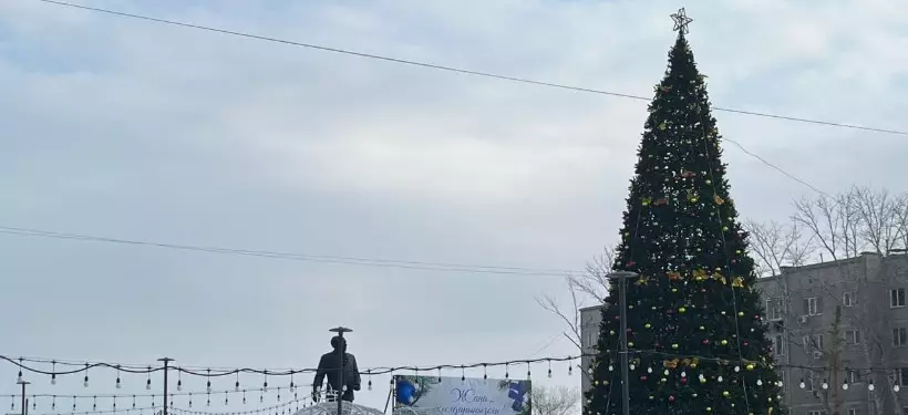 Огни на главной елке левобережья зажгли в Семее
