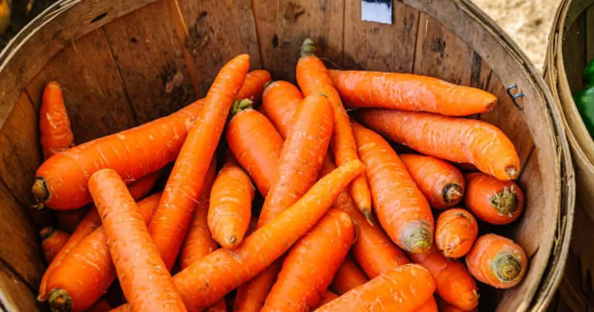  Қазақстан сәбізді экспорттауға тыйым салады 