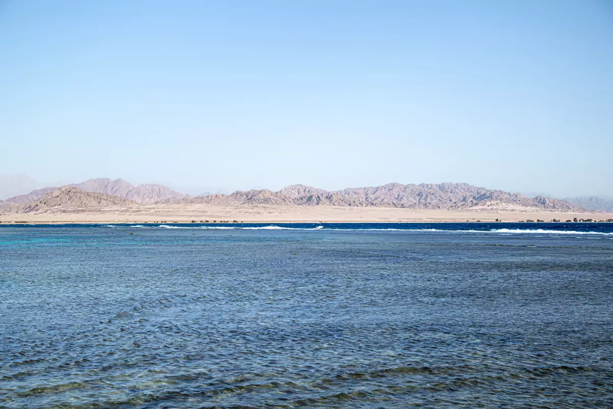 Для Северного Арала разрабатывают новый проект развития