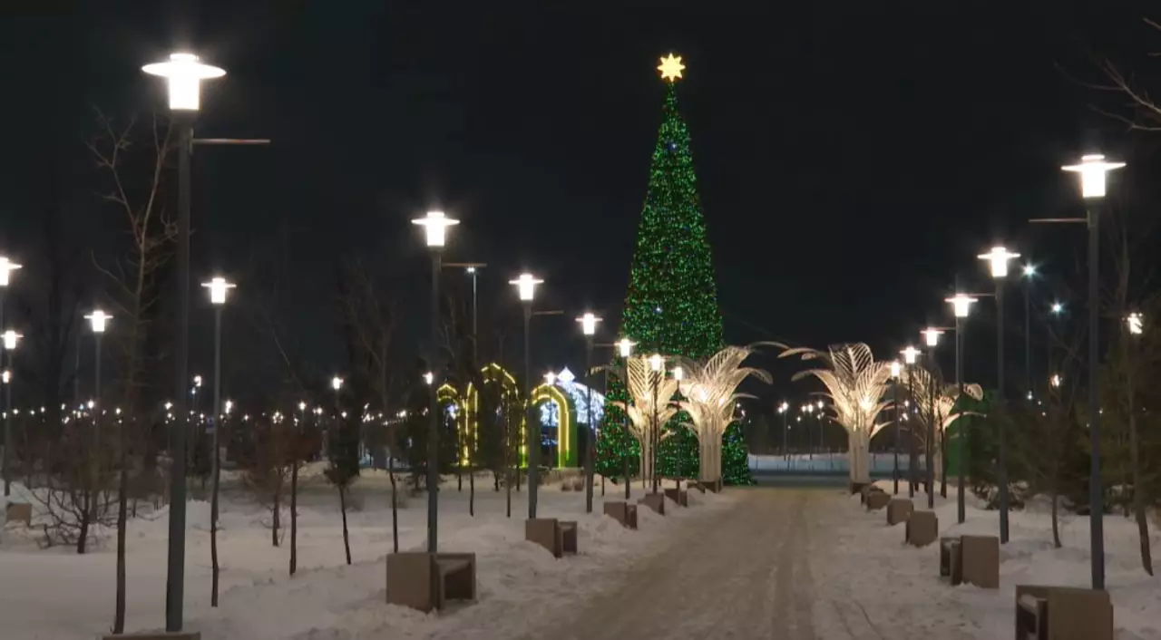 Қысқы саябақтың қызықтары