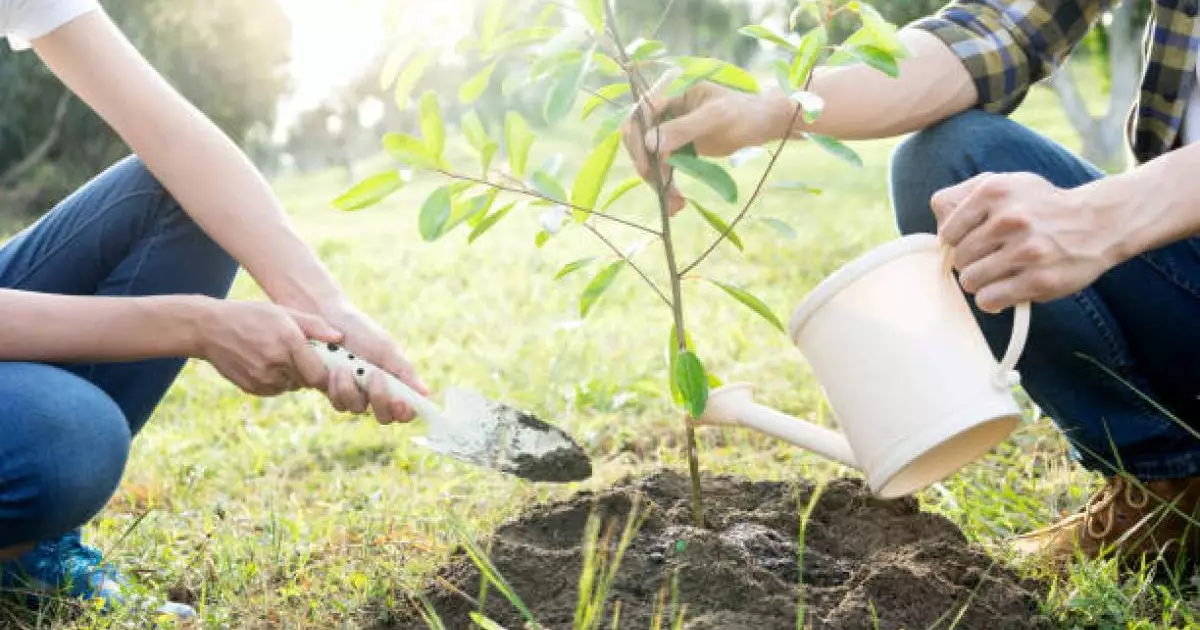  Президент: Тазалық ұлттық болмысымыздың ажырамас бөлігіне айналуы қажет 