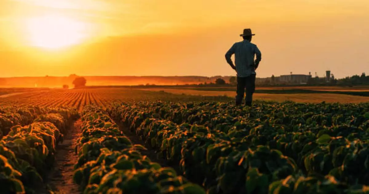  Диқандарымыз 2 жыл қатарынан рекордтық деңгейде мол астық жинады – Тоқаев 