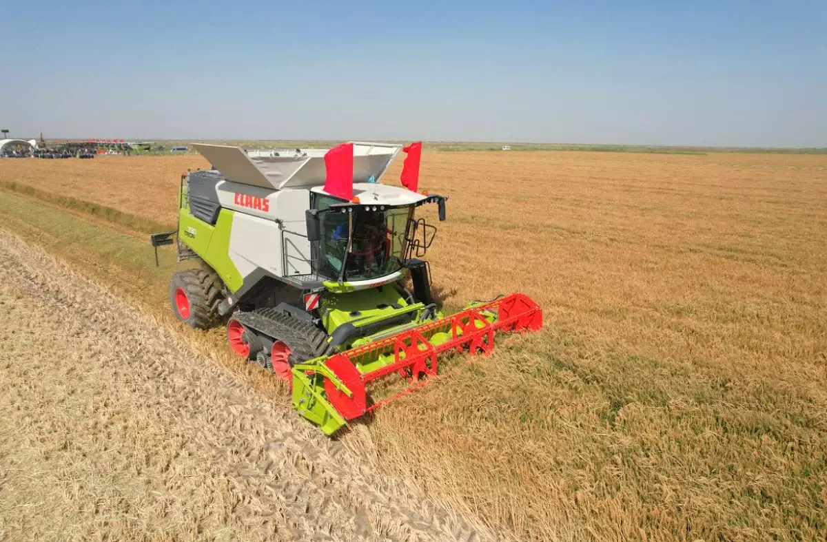 Президент: Ауыл шаруашылығындағы жалпы өнім соңғы он жылда 2,5 есе өсті