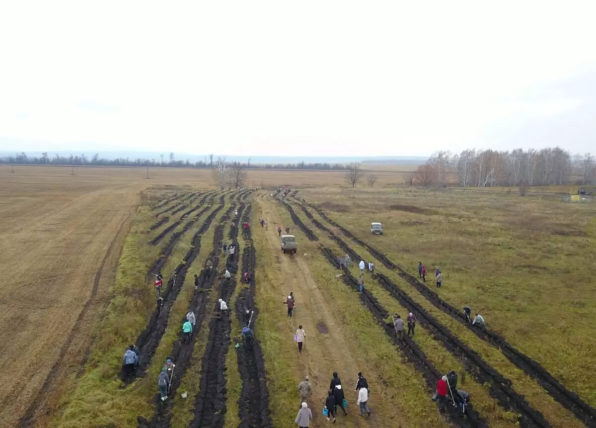 В 2025 году в России и Казахстане высадили более 130 тысяч деревьев в рамках проекта.