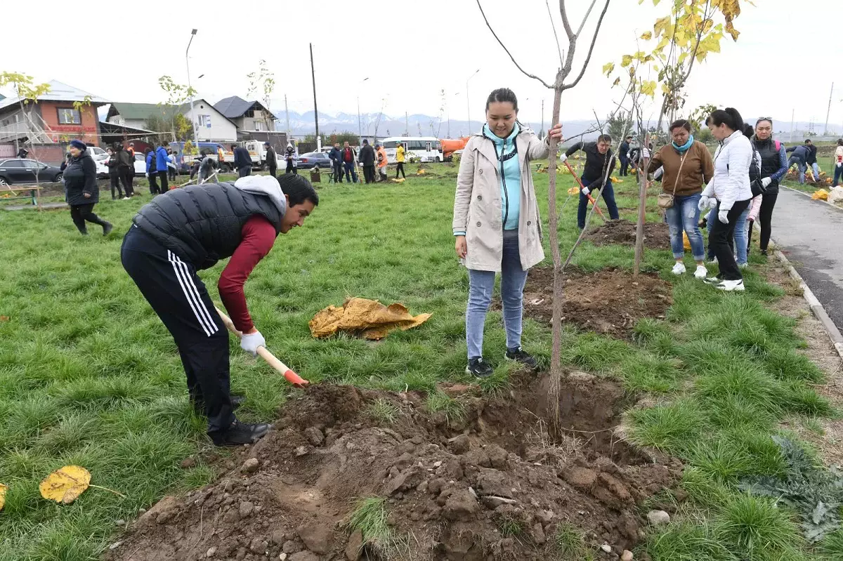 «Таза Қазақстан» аясында биыл елімізде 335 млн ағаш егілді - Тоқаев