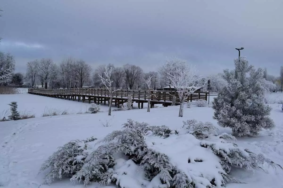 Снег с метелью ожидаются в Астане и Алматы