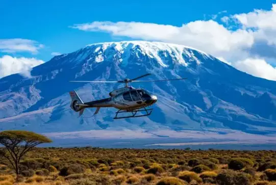 Пять человек погибли при крушении вертолета в Танзании