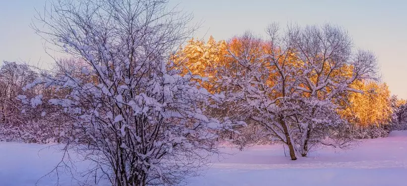 Резкое похолодание в ряде регионов Казахстана: штормовое предупреждение объявили синоптики
