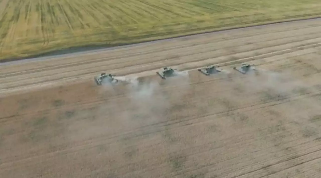 Казахстан бьет рекорды по урожаю бобовых, масличных и хлопчатника