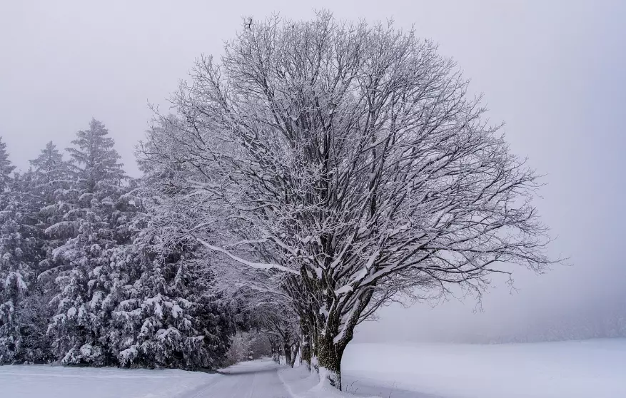 Штормовые предупреждения на пятницу объявлены в 15 областях Казахстана