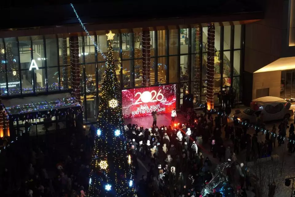 В Косшы впервые зажглась новогодняя ёлка