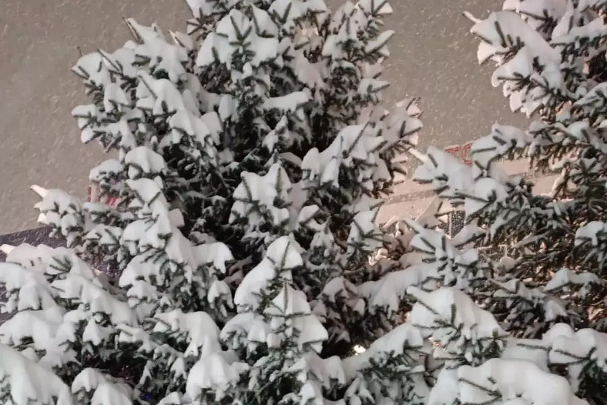 Морозы на севере: прогноз погоды в Казахстане на 26 декабря