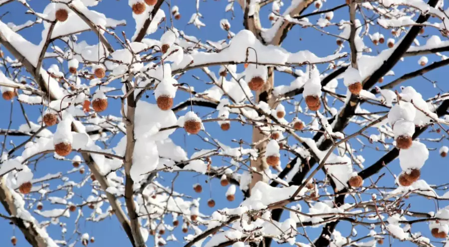 16 өңірде ауа райына байланысты ескерту жарияланды