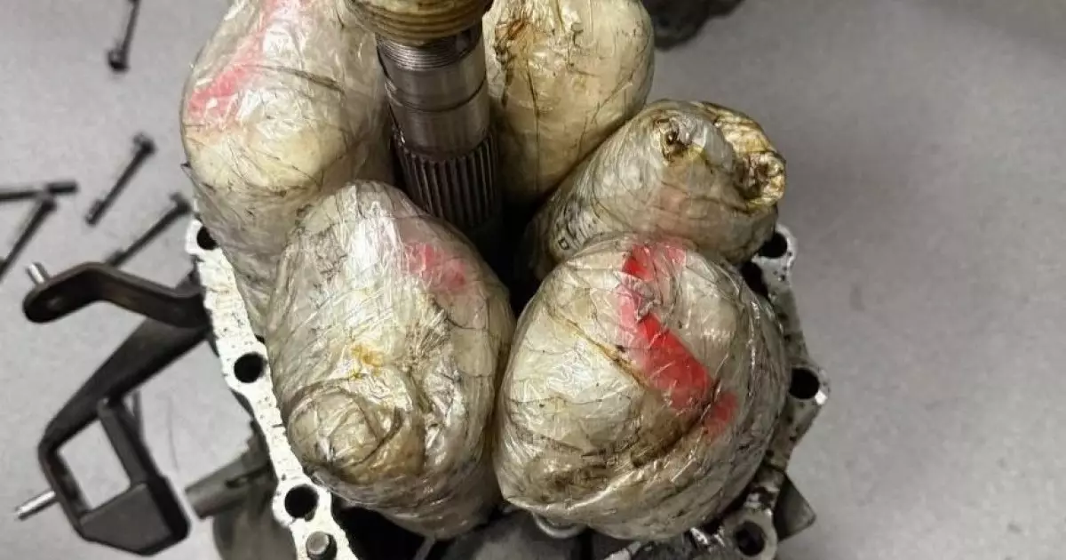  Қазақстаннан Өзбекстанға есірткі алып өтпек болған адам ұсталды 