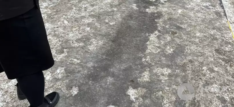 "Только грязь в дом таскаем": на неэффективную борьбу с гололедом жалуются семейчане