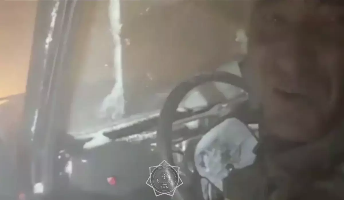 Семь человек спасли из снежного заноса в области Жетысу (ВИДЕО)