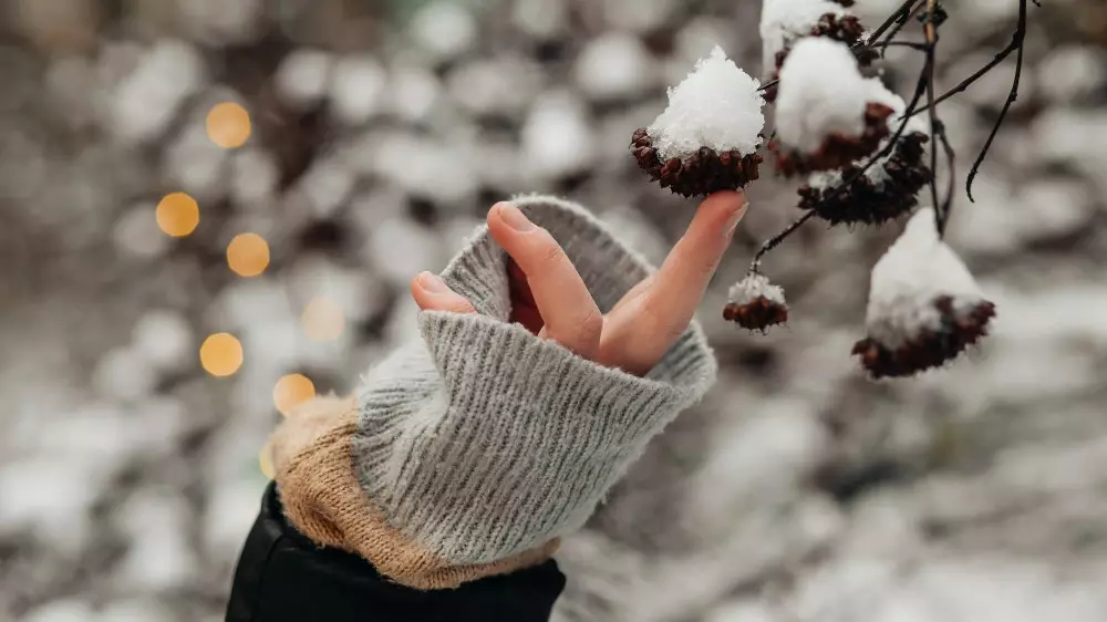 Погода порадует казахстанцев в преддверии Нового года