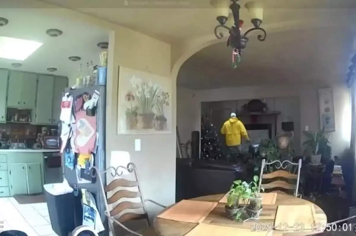 12 жастағы бала «Один дома» фильміндегідей әрекет етіп, ұрыны ұстап берген