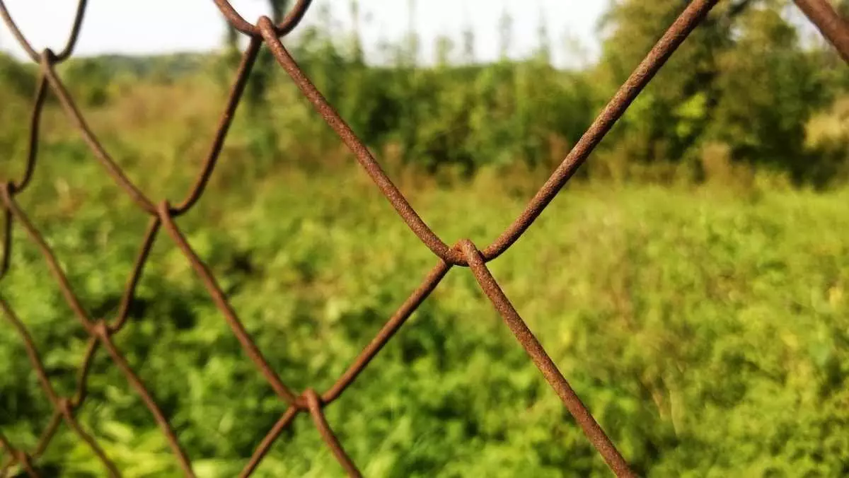 Получение земельных участков от акимата обещал мошенник казахстанцам