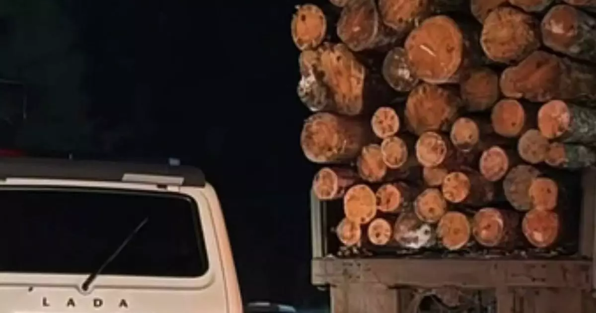  Жүргізуші куәлігінсіз жүк көлігін тізгіндеген азамат ұсталды 