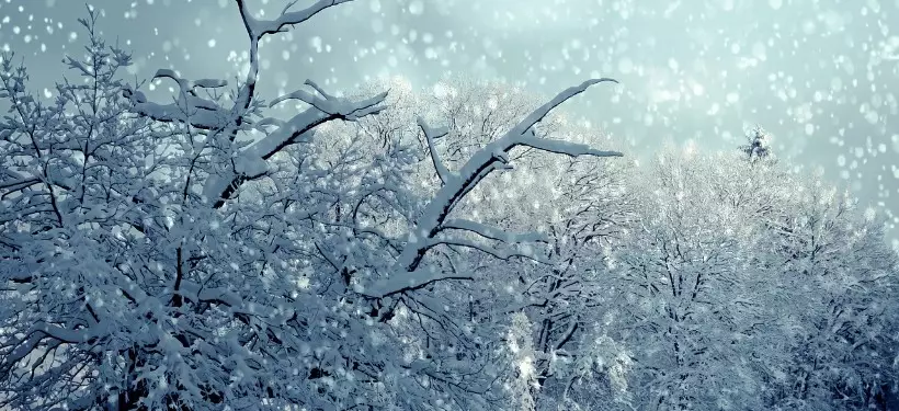 Дождь, сильный снегопад и потепление: какая погода ожидается в выходные дни по Казахстану