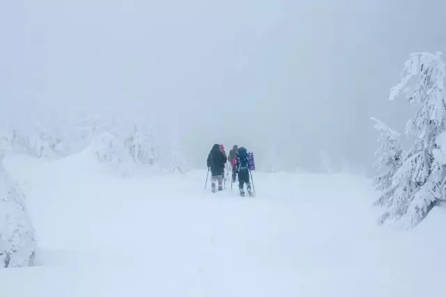 Алматыда тауға кеткендер іздестіріліп жатыр: 1 адамның мәйіті табылды