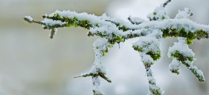 Штормовое предупреждение объявили в некоторых регионах Казахстана