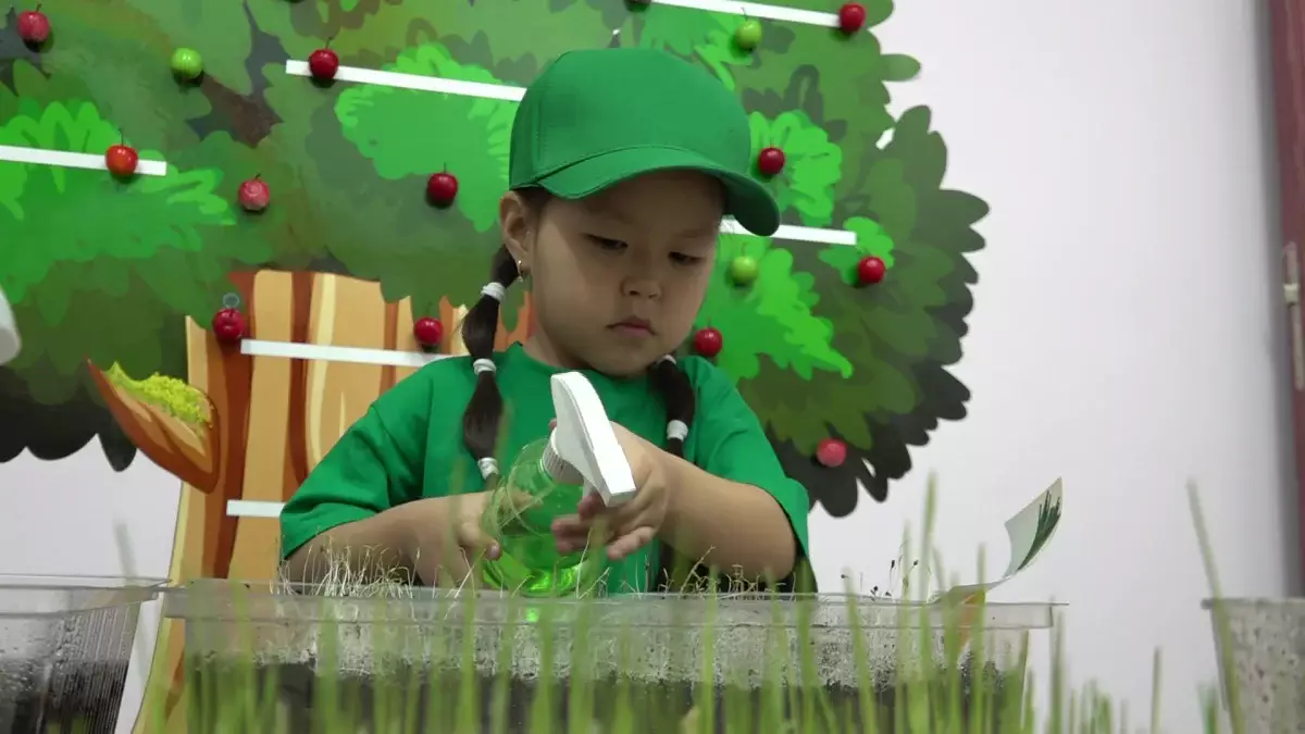 Қала келбеті: Алматыдағы балабақшада бүлдіршіндер бидай өсіреді