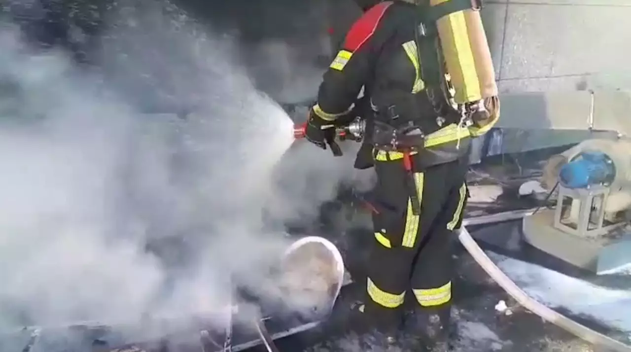 Құтқарушылар қызметінің сапасы артты