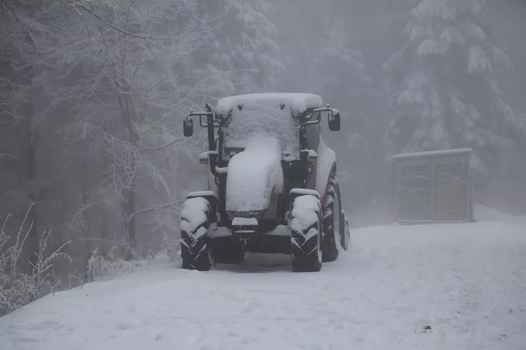 Трактор сбил насмерть работника фермы в Акмолинской области