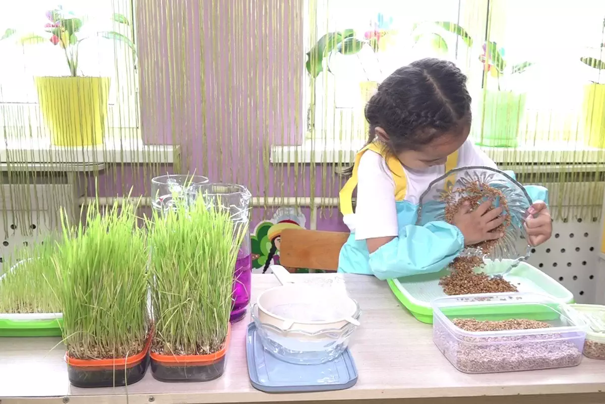 Экопривычки с детства: в Алматы малыши учатся заботе об окружающей среде