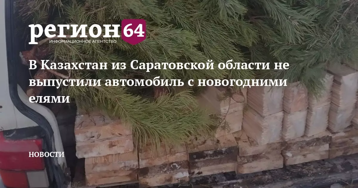 В Казахстан из Саратовской области не выпустили автомобиль с новогодними елями