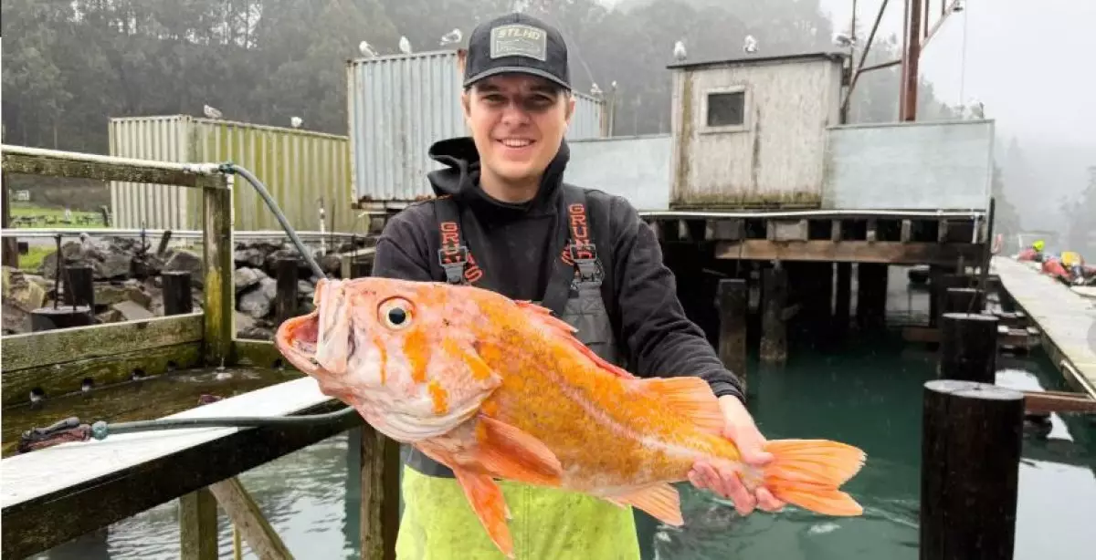 Рыбак поймал окуня-рекордсмена