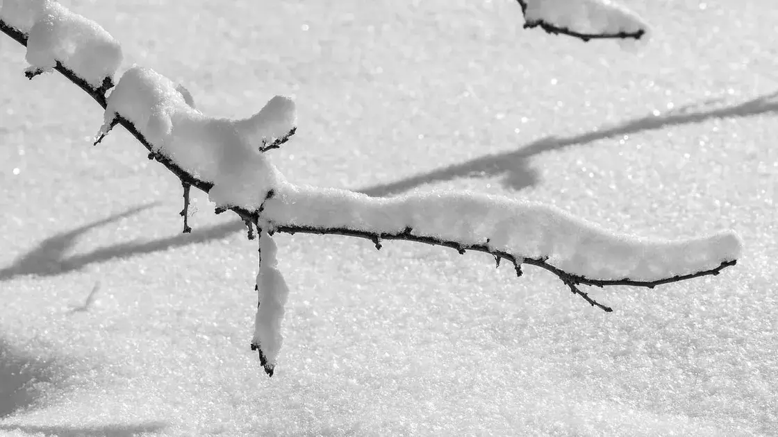 Қазақстанда 27 желтоқсан күні тұрақсыз ауа райы күтіледі