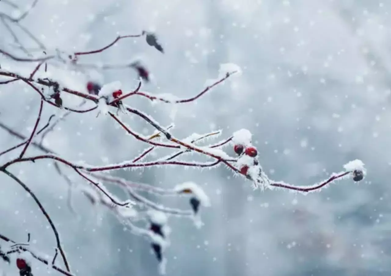 Снег и метели: синоптики предупреждают о резком ухудшении погоды