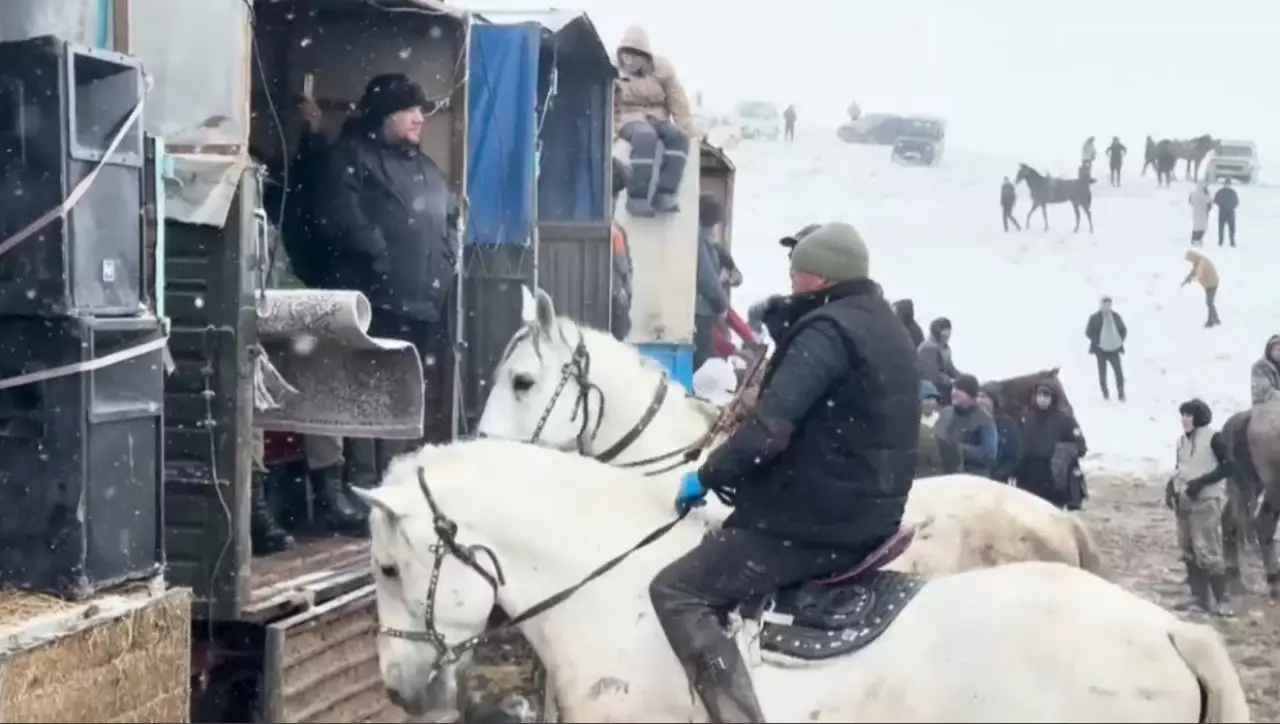 Өзбекстанда көкпарға қызығушылық артты